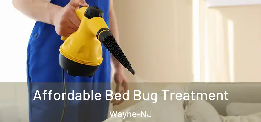 Affordable Bed Bug Treatment Wayne-NJ