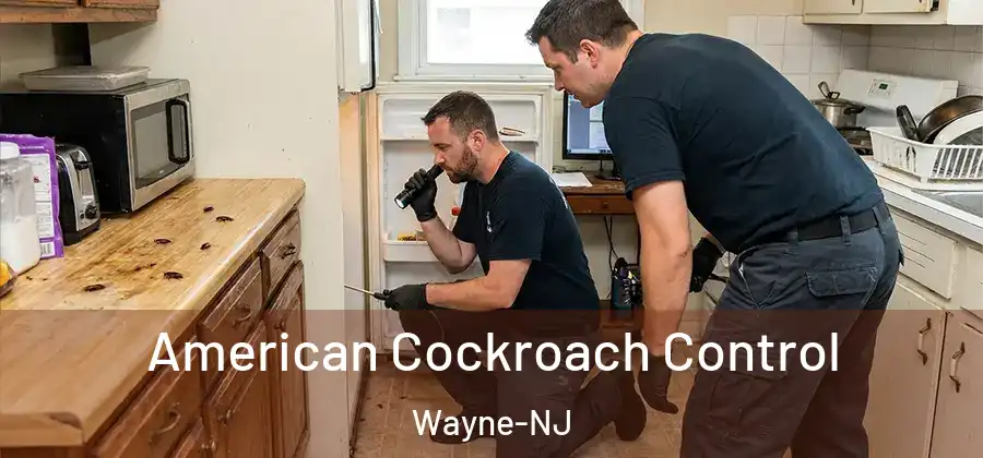 American Cockroach Control Wayne-NJ