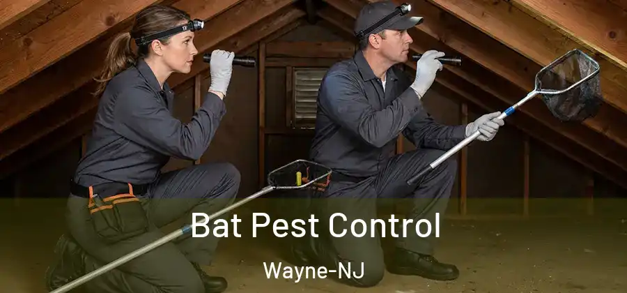 Bat Pest Control Wayne-NJ