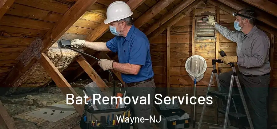 Bat Removal Services Wayne-NJ