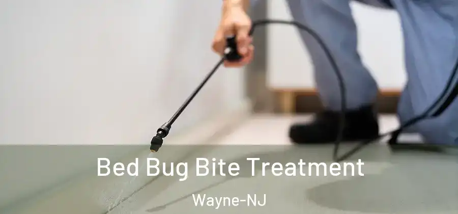 Bed Bug Bite Treatment Wayne-NJ