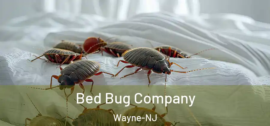 Bed Bug Company Wayne-NJ