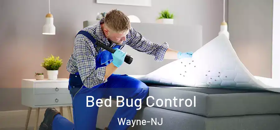 Bed Bug Control Wayne-NJ