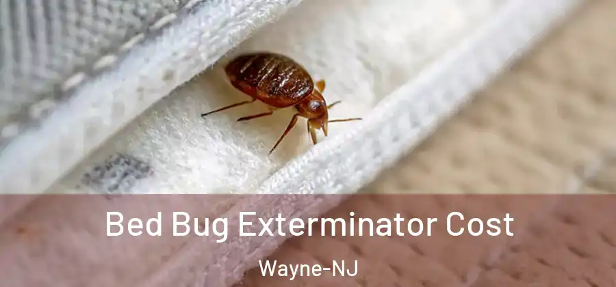 Bed Bug Exterminator Cost Wayne-NJ