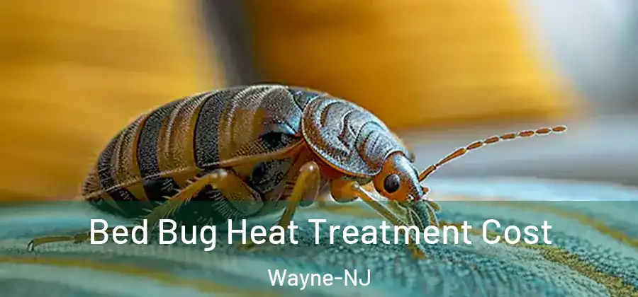 Bed Bug Heat Treatment Cost Wayne-NJ