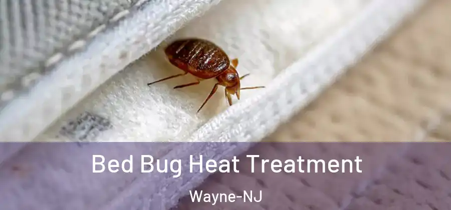 Bed Bug Heat Treatment Wayne-NJ