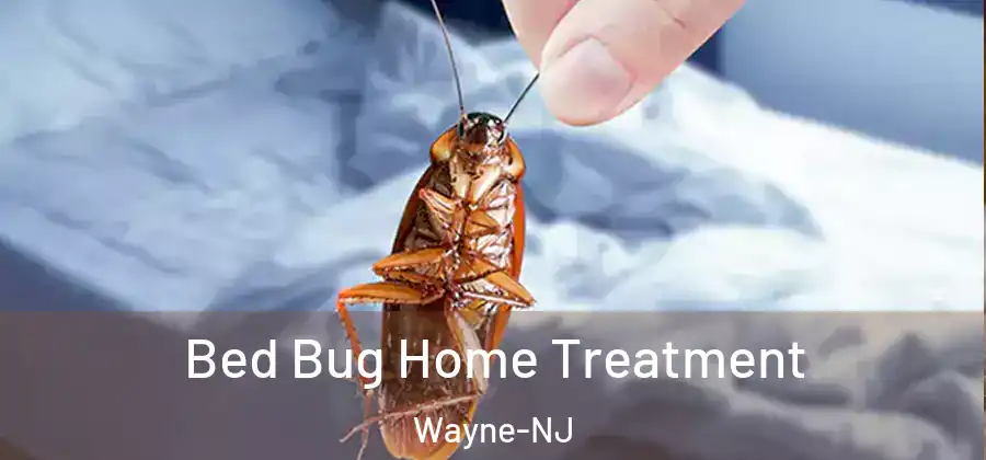 Bed Bug Home Treatment Wayne-NJ