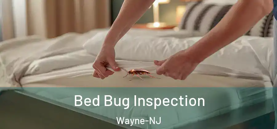 Bed Bug Inspection Wayne-NJ