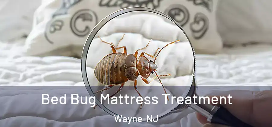 Bed Bug Mattress Treatment Wayne-NJ