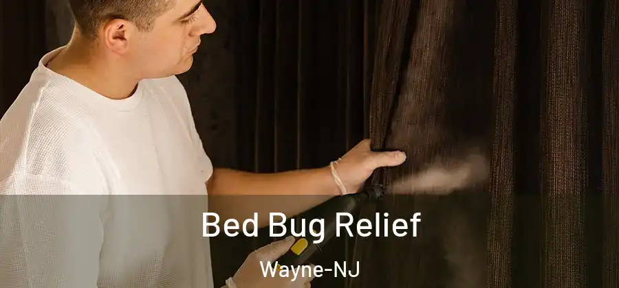 Bed Bug Relief Wayne-NJ