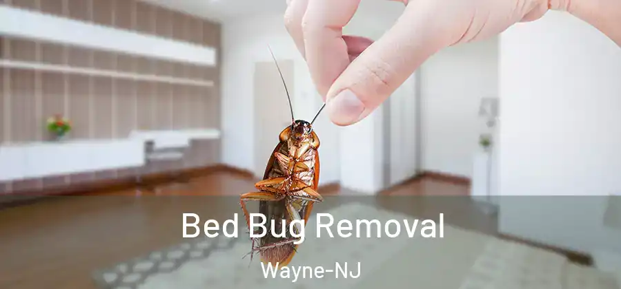 Bed Bug Removal Wayne-NJ