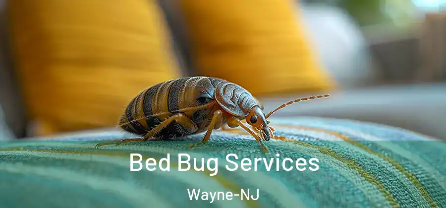  Bed Bug Services Wayne-NJ