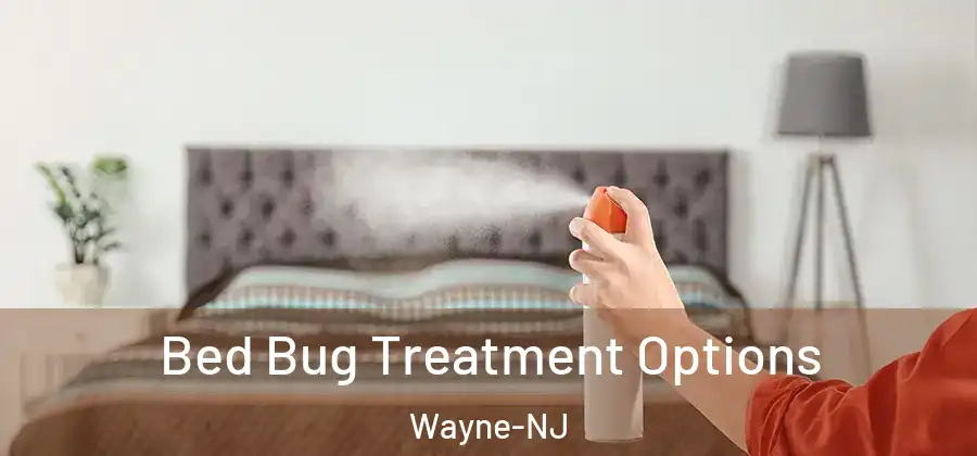 Bed Bug Treatment Options Wayne-NJ