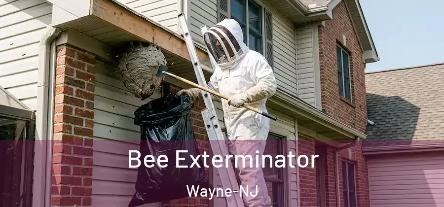 Bee Exterminator Wayne-NJ
