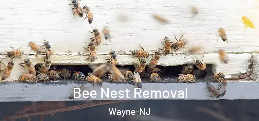 Bee Nest Removal Wayne-NJ