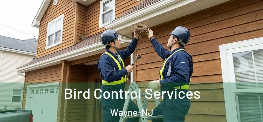 Bird Control Services Wayne-NJ