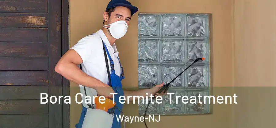Bora Care Termite Treatment Wayne-NJ