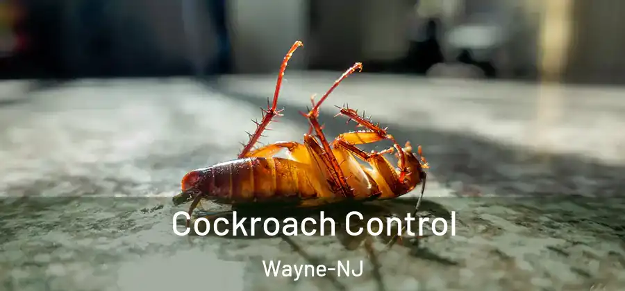 Cockroach Control Wayne-NJ