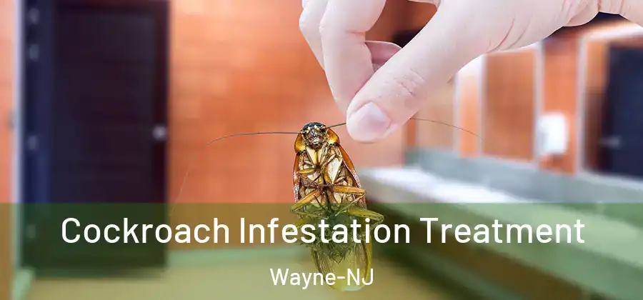 Cockroach Infestation Treatment Wayne-NJ