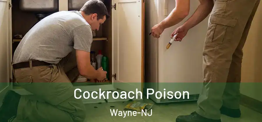 Cockroach Poison Wayne-NJ