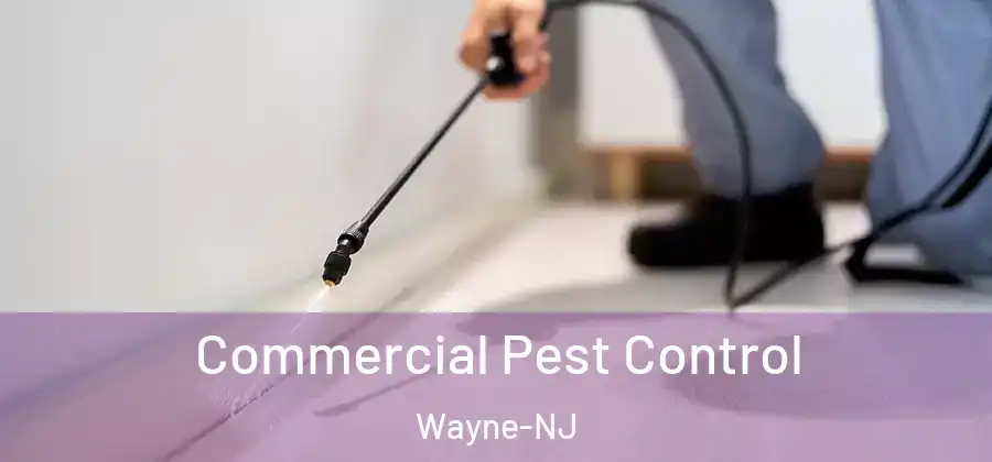 Commercial Pest Control Wayne-NJ