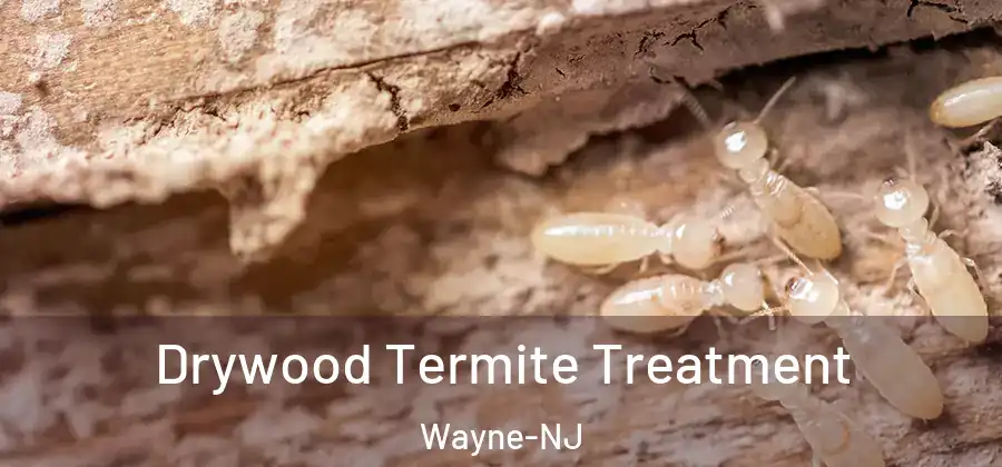 Drywood Termite Treatment Wayne-NJ