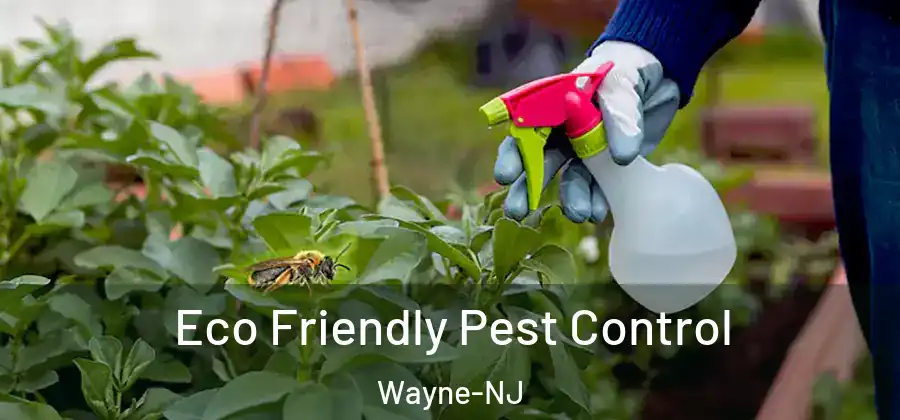 Eco Friendly Pest Control Wayne-NJ