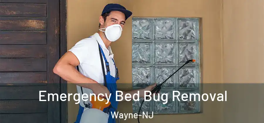 Emergency Bed Bug Removal Wayne-NJ