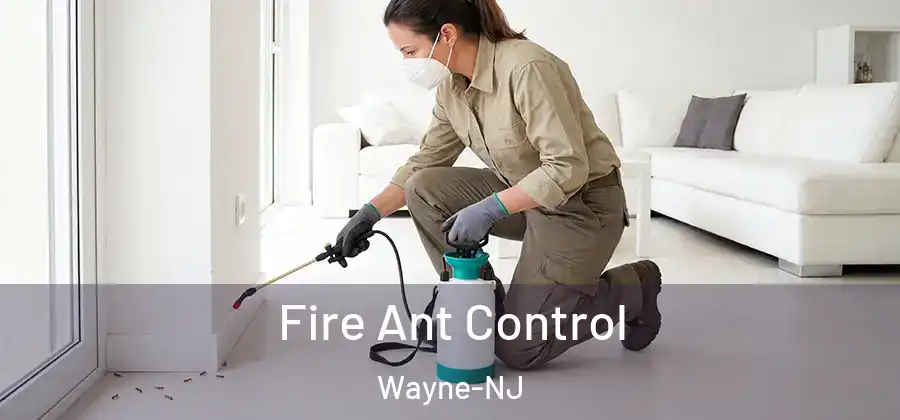 Fire Ant Control Wayne-NJ