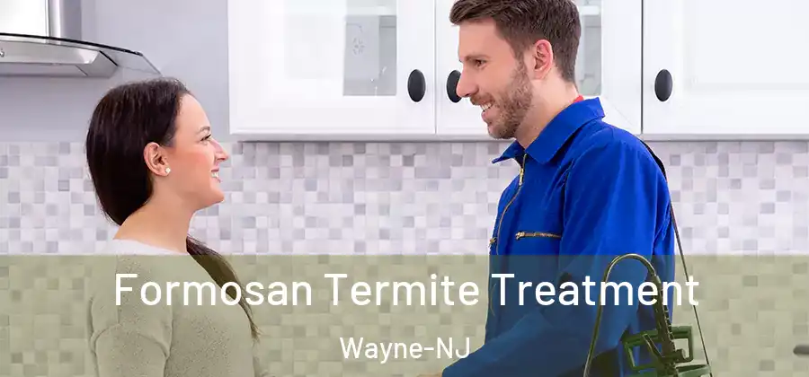 Formosan Termite Treatment Wayne-NJ