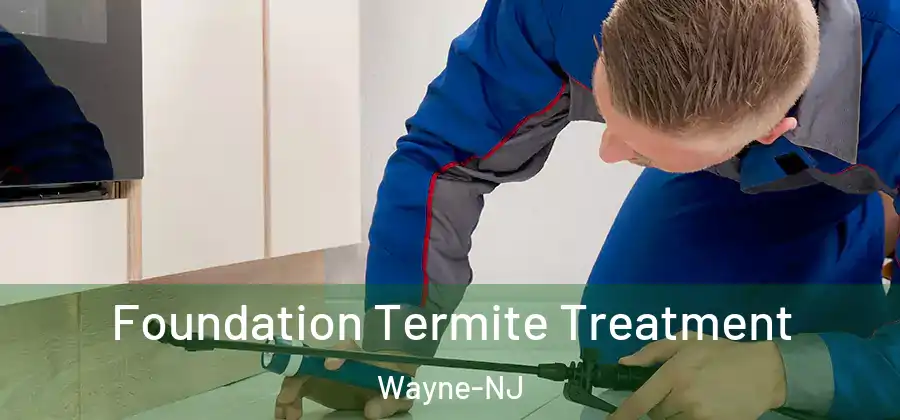 Foundation Termite Treatment Wayne-NJ