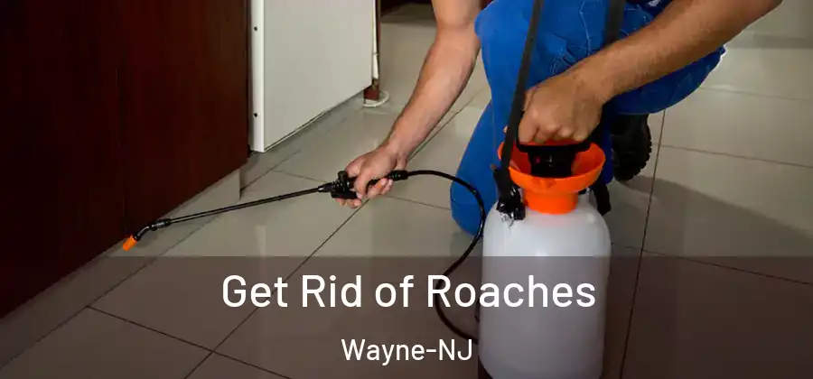 Get Rid of Roaches Wayne-NJ