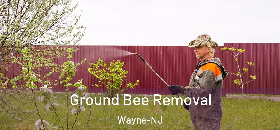 Ground Bee Removal Wayne-NJ