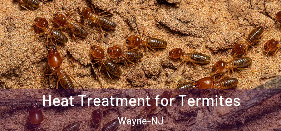 Heat Treatment for Termites Wayne-NJ
