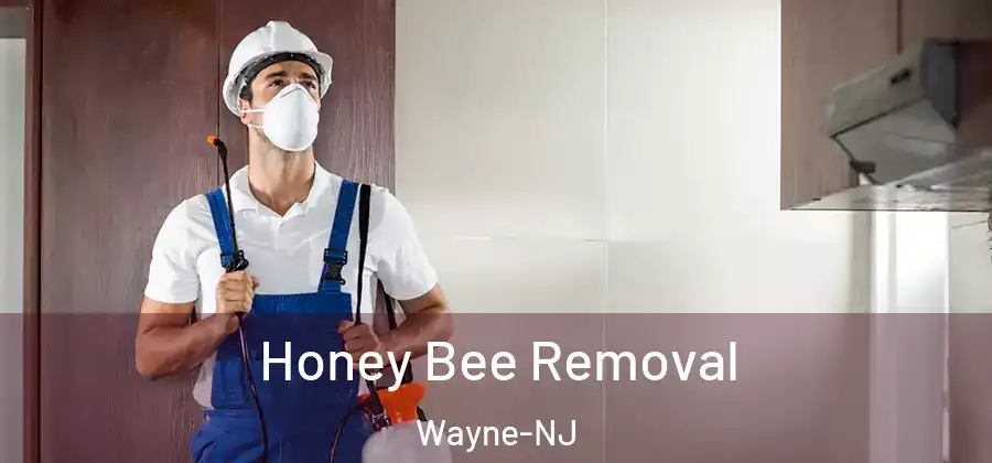 Honey Bee Removal Wayne-NJ