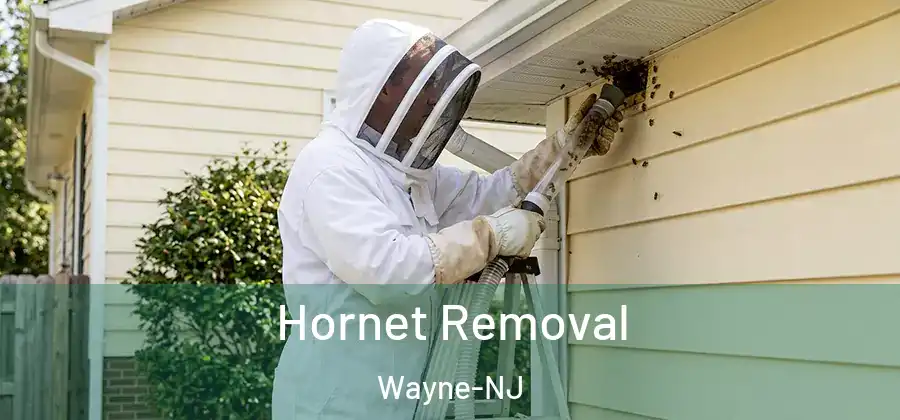 Hornet Removal Wayne-NJ
