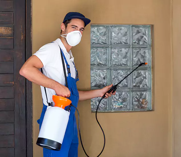 Your Reliable Pest Control in Wayne, NJ