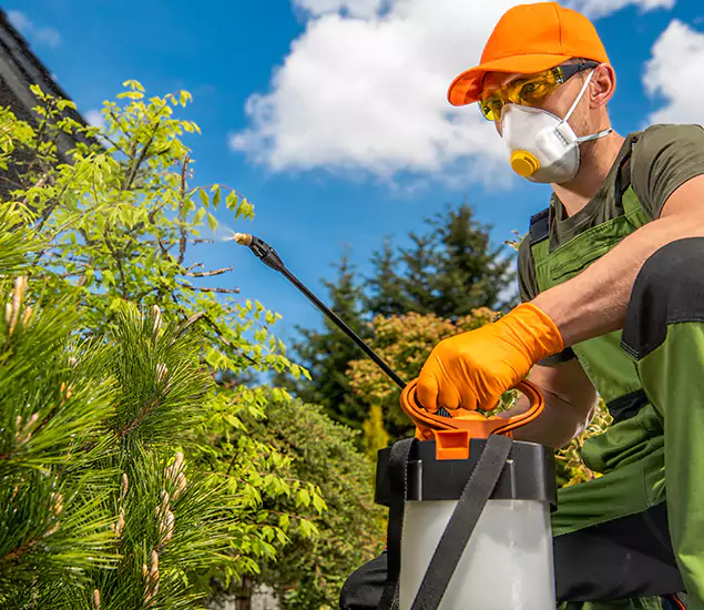 Your Best Bug Spray for Home Team in Wayne, NJ
