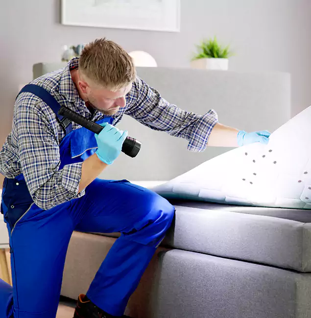 Why Choose Wayne Pest Control Pro For Bed Bug Heat Treatment in Wayne, NJ?