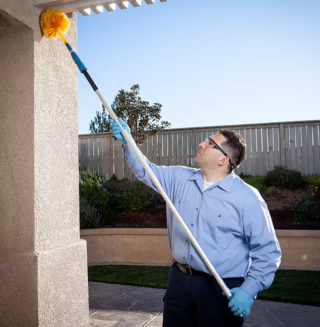 Why Choose Wayne Pest Control Pro for Foundation Termite Treatment in Wayne, NJ?