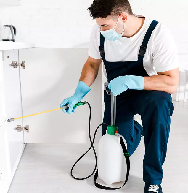 Why Wayne, NJ Homeowners Trust Us for German Roach Control?