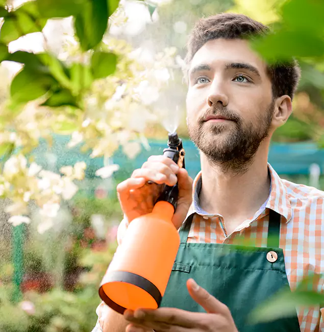 Why Wayne Pest Control Pro Is the Best Mosquito Control Company in Wayne, NJ?