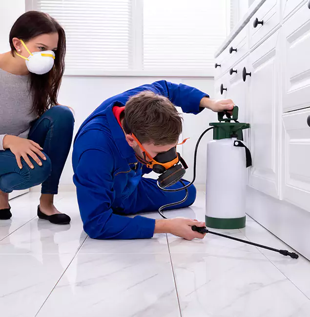 Why Choose Wayne Pest Control Pro for Termite Inspection Cost in Wayne, NJ?