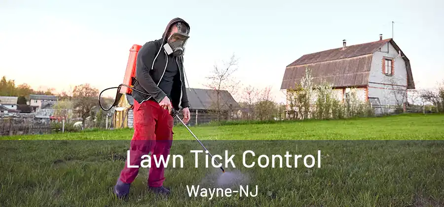 Lawn Tick Control Wayne-NJ