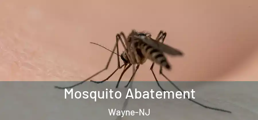 Mosquito Abatement Wayne-NJ