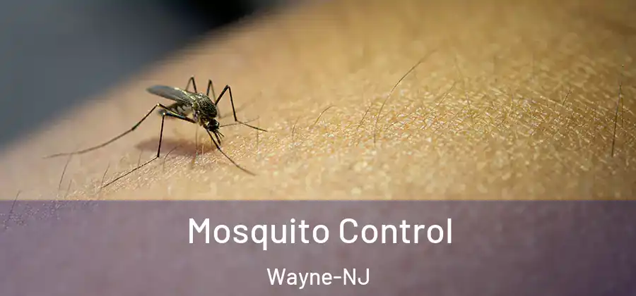 Mosquito Control Wayne-NJ