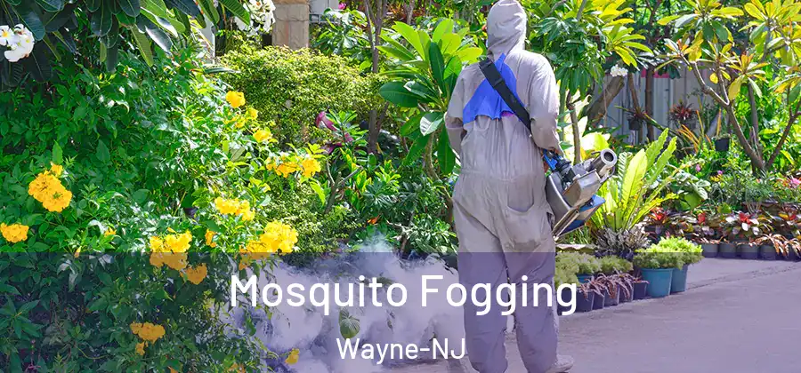 Mosquito Fogging Wayne-NJ