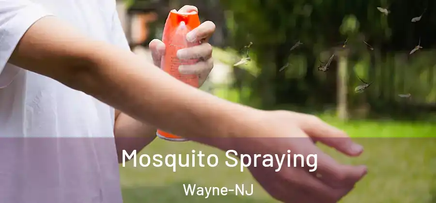 Mosquito Spraying Wayne-NJ