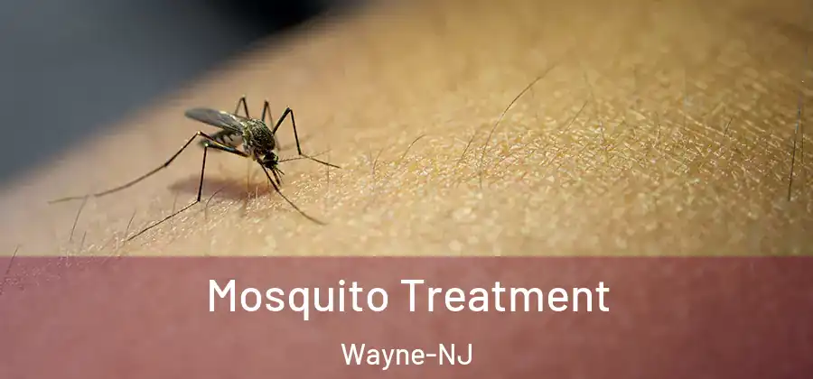 Mosquito Treatment Wayne-NJ