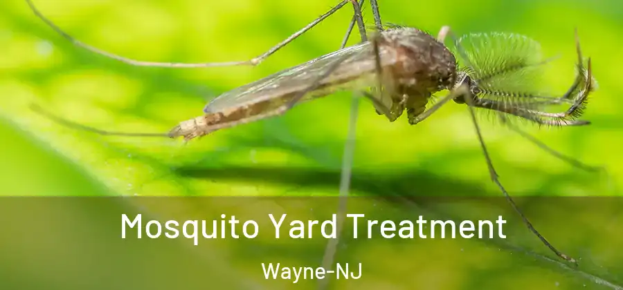 Mosquito Yard Treatment Wayne-NJ